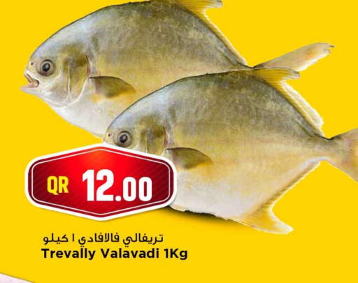 available at Marza Hypermarket in Qatar - Al Shamal