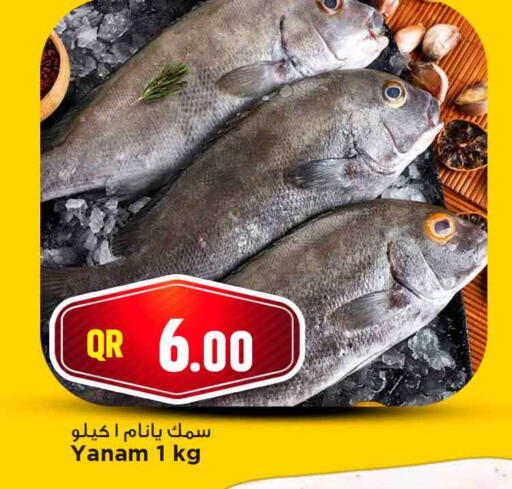 available at Marza Hypermarket in Qatar - Al Shamal