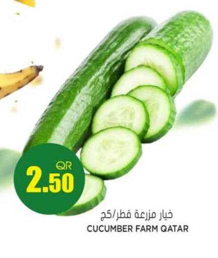 Cucumber from Qatar available at Grand Hypermarket in Qatar - Al-Shahaniya
