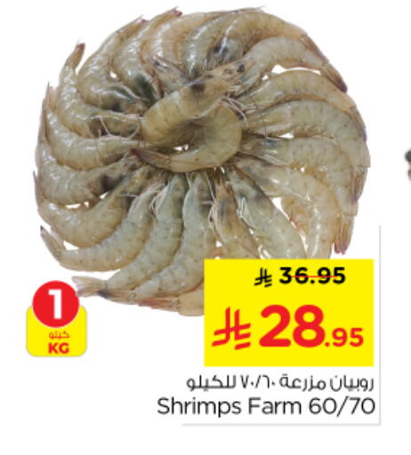 available at Nesto in KSA, Saudi Arabia, Saudi - Riyadh