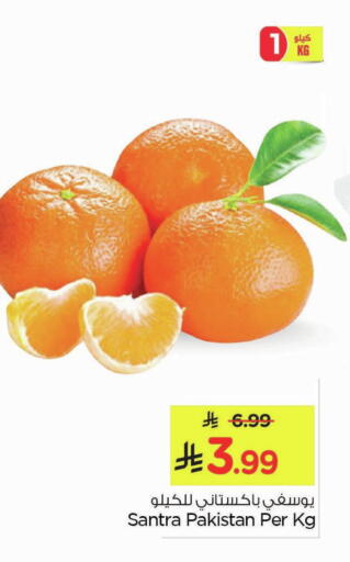 from Pakistan available at نستو in مملكة العربية السعودية, السعودية, سعودية - الأحساء‎