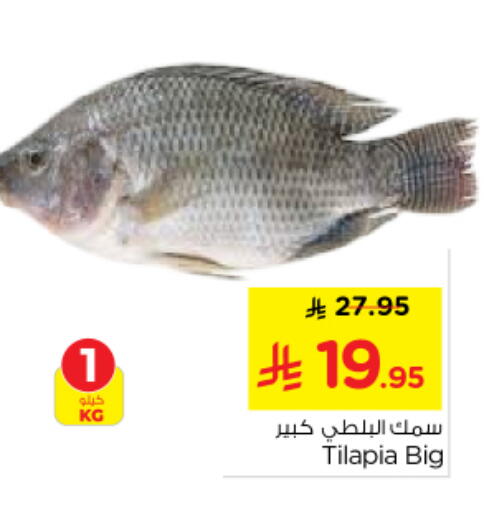 available at Nesto in KSA, Saudi Arabia, Saudi - Riyadh