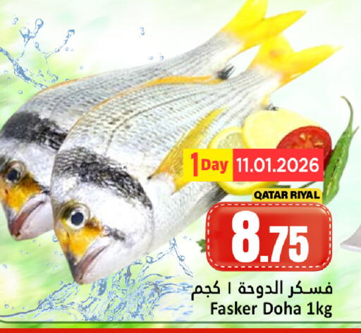 available at دانة هايبرماركت in قطر - الشحانية