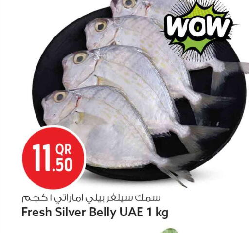 available at سفاري هايبر ماركت in قطر - أم صلال