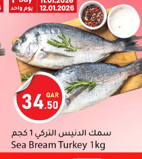 available at Dana Market in Qatar - Al Daayen