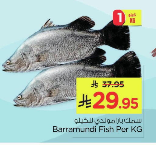 available at نستو in مملكة العربية السعودية, السعودية, سعودية - الأحساء‎