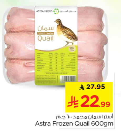 available at Nesto in KSA, Saudi Arabia, Saudi - Riyadh