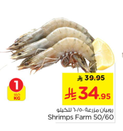 available at Nesto in KSA, Saudi Arabia, Saudi - Buraidah