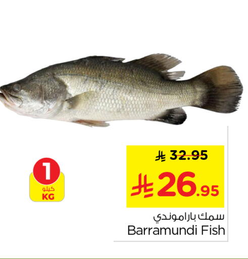 available at Nesto in KSA, Saudi Arabia, Saudi - Al-Kharj