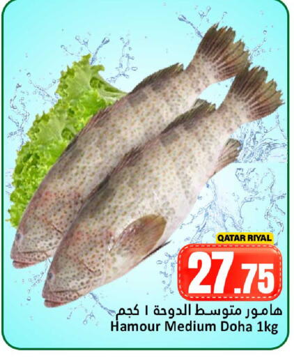 available at دانة هايبرماركت in قطر - الريان