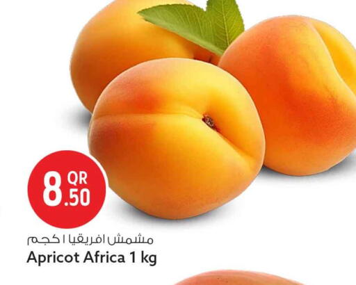 Apricot available at سفاري هايبر ماركت in قطر - أم صلال
