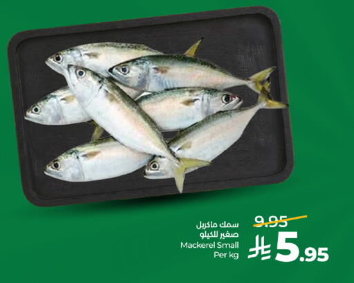 available at لولو هايبرماركت in مملكة العربية السعودية, السعودية, سعودية - تبوك