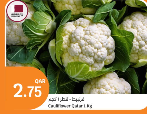 Cauliflower from Qatar available at City Hypermarket in Qatar - Umm Salal