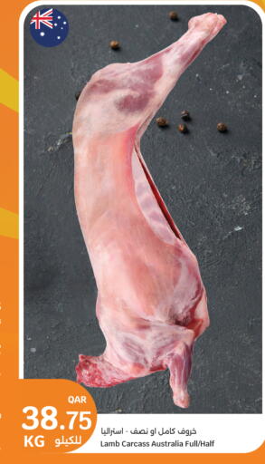 available at سيتي هايبرماركت in قطر - الوكرة