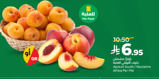 Apricot Nectarine available at لولو هايبرماركت in مملكة العربية السعودية, السعودية, سعودية - تبوك