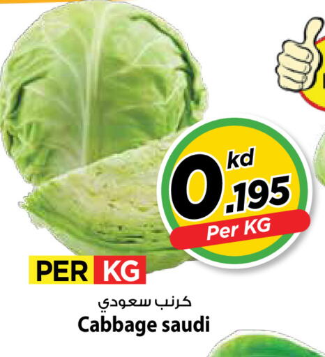 Cabbage from Saudi Arabia available at مارك & سايف in الكويت - مدينة الكويت