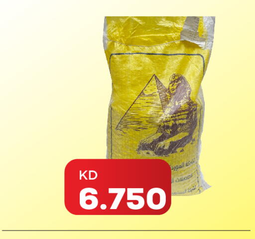 available at تجارة الجملة والتجزئة بين الشركات in الكويت - محافظة الجهراء