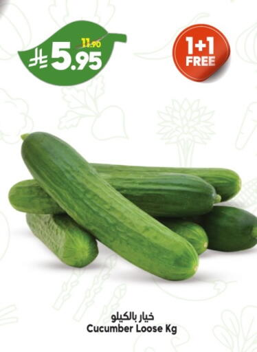 Cucumber available at Dukan in KSA, Saudi Arabia, Saudi - Jeddah