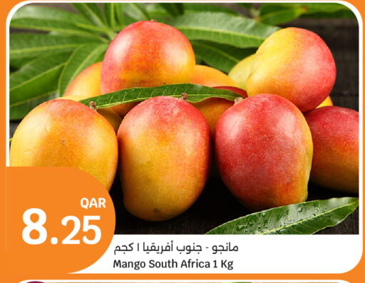 Mango from South Africa available at سيتي هايبرماركت in قطر - الشمال