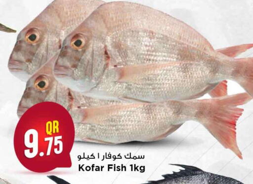 available at مرزا هايبرماركت in قطر - الضعاين