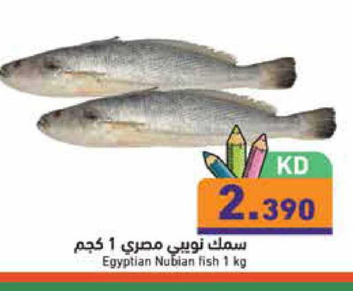 available at  رامز in الكويت - محافظة الجهراء