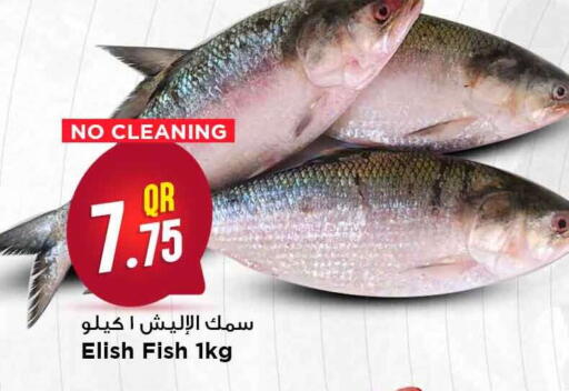 available at مرزا هايبرماركت in قطر - الضعاين