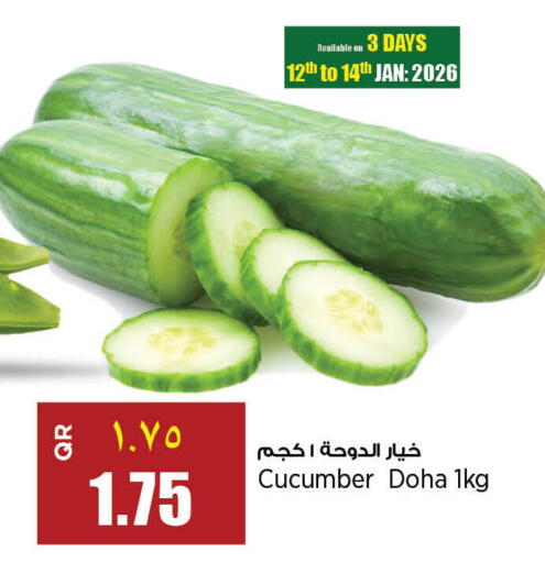 Cucumber from Qatar India available at New Indian Supermarket in Qatar - Doha