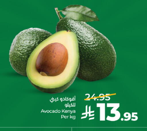 Avocado from Kenya available at LULU Hypermarket in KSA, Saudi Arabia, Saudi - Jeddah