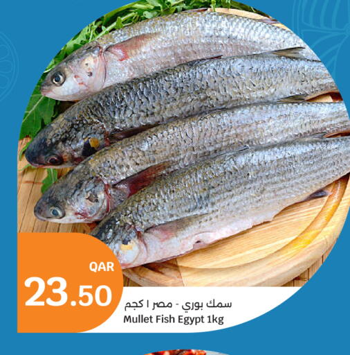 available at سيتي هايبرماركت in قطر - الوكرة