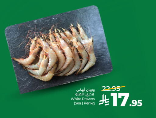 available at لولو هايبرماركت in مملكة العربية السعودية, السعودية, سعودية - تبوك