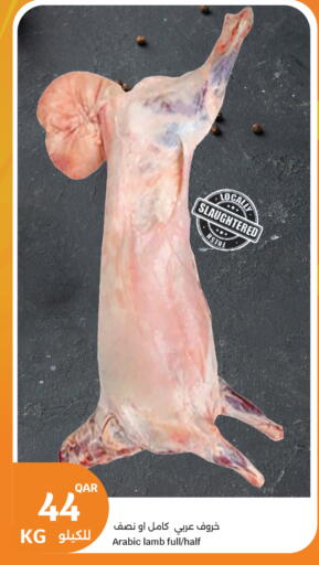 available at سيتي هايبرماركت in قطر - الوكرة