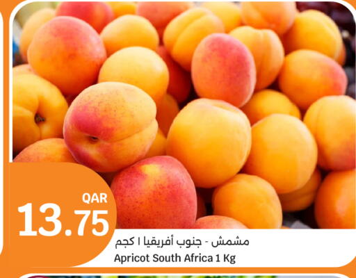 Apricot from South Africa available at City Hypermarket in Qatar - Al-Shahaniya