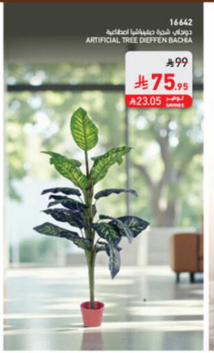 available at SACO in KSA, Saudi Arabia, Saudi - Al-Kharj