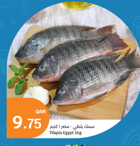 available at سيتي هايبرماركت in قطر - الوكرة