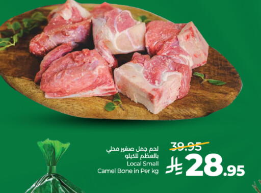 available at لولو هايبرماركت in مملكة العربية السعودية, السعودية, سعودية - تبوك