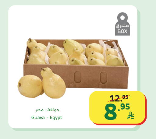 Guava from Egypt available at Al Raya in KSA, Saudi Arabia, Saudi - Jazan