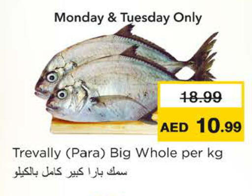 available at Nesto Hypermarket in UAE - Ras al Khaimah