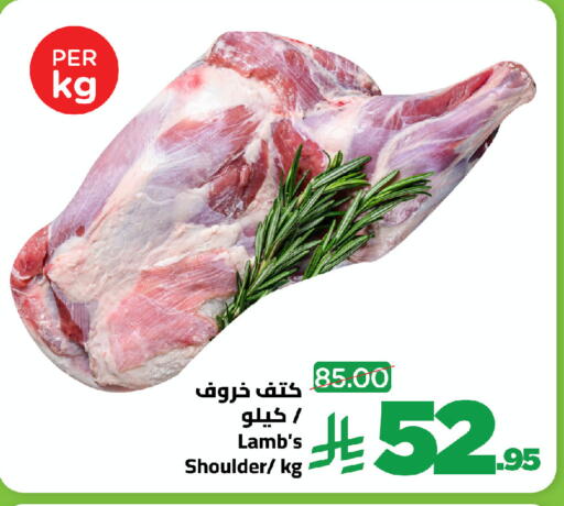 available at وهج مارت in مملكة العربية السعودية, السعودية, سعودية - جدة