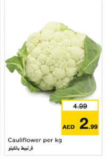 Cauliflower available at نستو هايبرماركت in الإمارات العربية المتحدة , الامارات - أبو ظبي