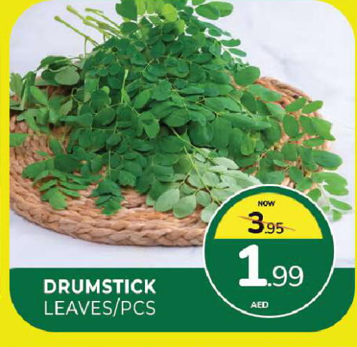 available at المدينة in الإمارات العربية المتحدة , الامارات - الشارقة / عجمان