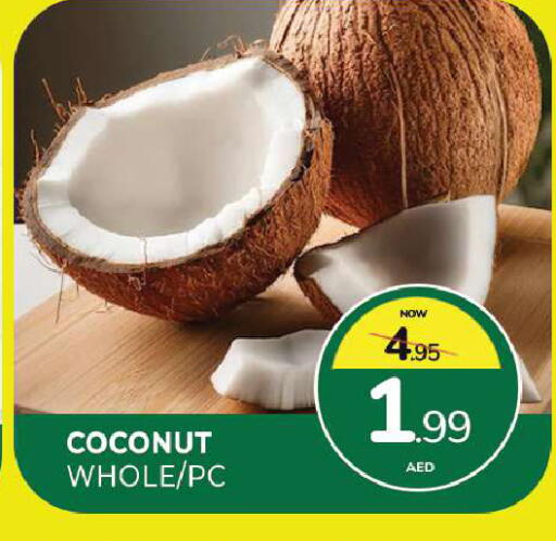 Coconut available at المدينة in الإمارات العربية المتحدة , الامارات - الشارقة / عجمان