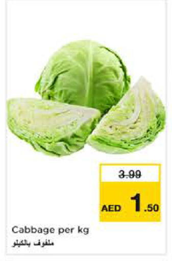 Cabbage available at نستو هايبرماركت in الإمارات العربية المتحدة , الامارات - أبو ظبي