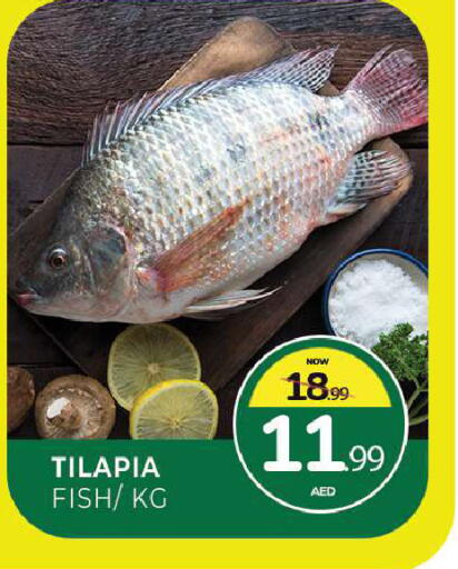 available at المدينة in الإمارات العربية المتحدة , الامارات - الشارقة / عجمان