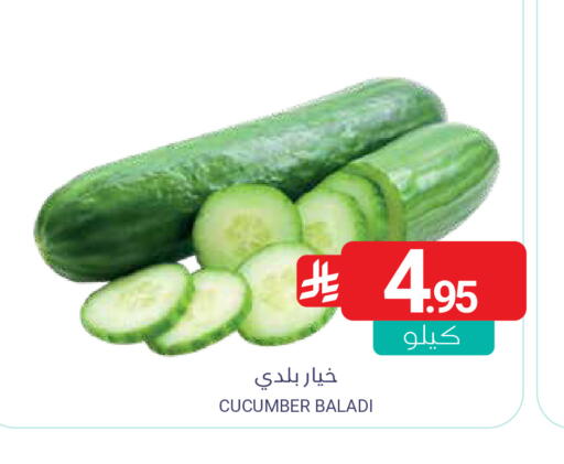 Cucumber available at Muntazah Markets in KSA, Saudi Arabia, Saudi - Qatif