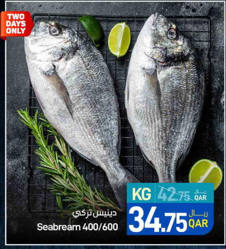 available at ســبــار in قطر - الريان