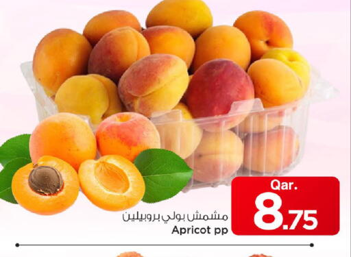 Apricot available at Mark & Save  in Qatar - Al Shamal