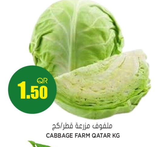Cabbage from Qatar available at Grand Hypermarket in Qatar - Doha