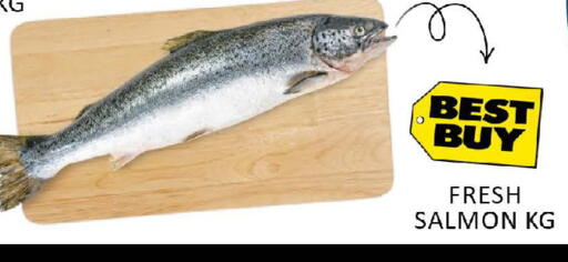 Mango available at مانجو هايبرماركت in الإمارات العربية المتحدة , الامارات - دبي