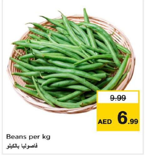 available at نستو هايبرماركت in الإمارات العربية المتحدة , الامارات - دبي