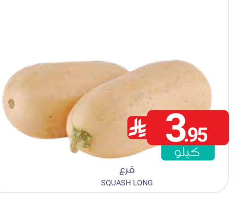 Squash available at Muntazah Markets in KSA, Saudi Arabia, Saudi - Qatif